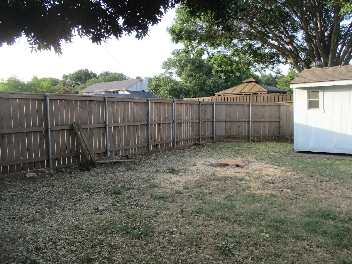 Cleared yard after professional tree removal in Fentress